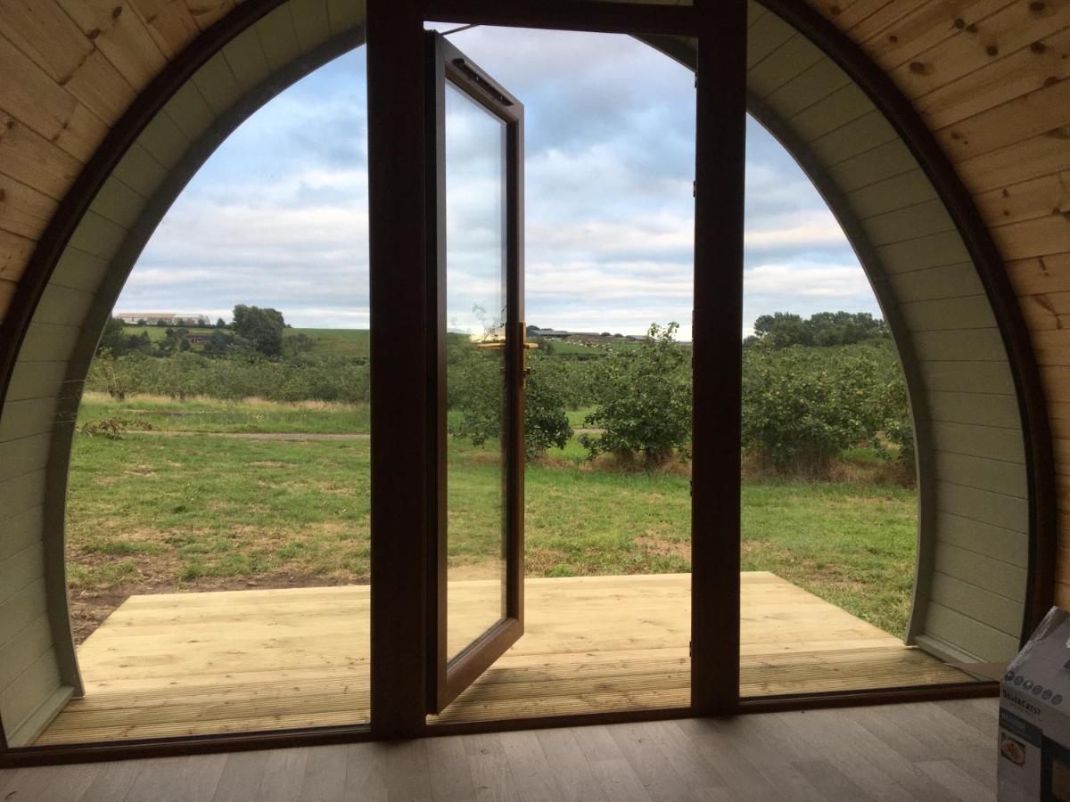 Luxury tent Orchard Luxe Glamping Pod