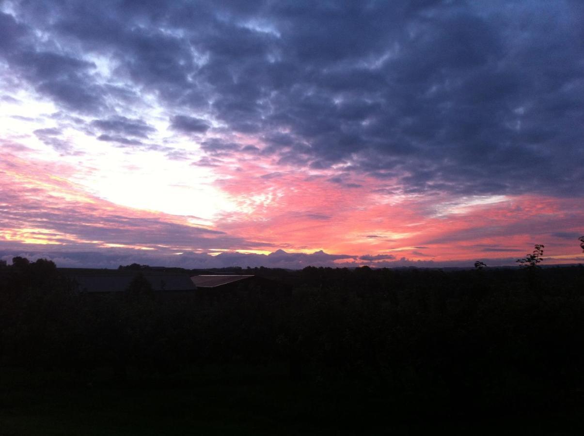 Orchard Luxe Glamping Pod Dungannon
