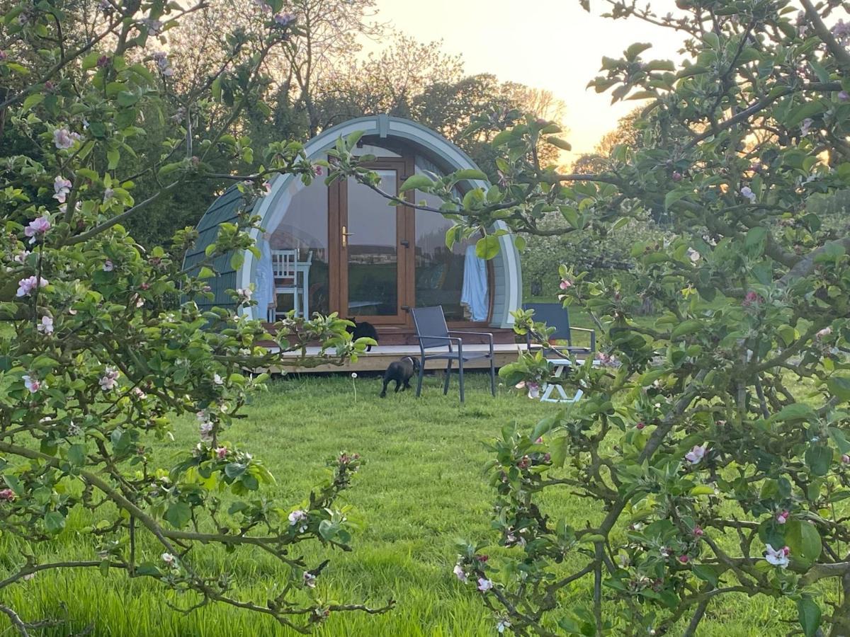 Luxury tent Orchard Luxe Glamping Pod Dungannon